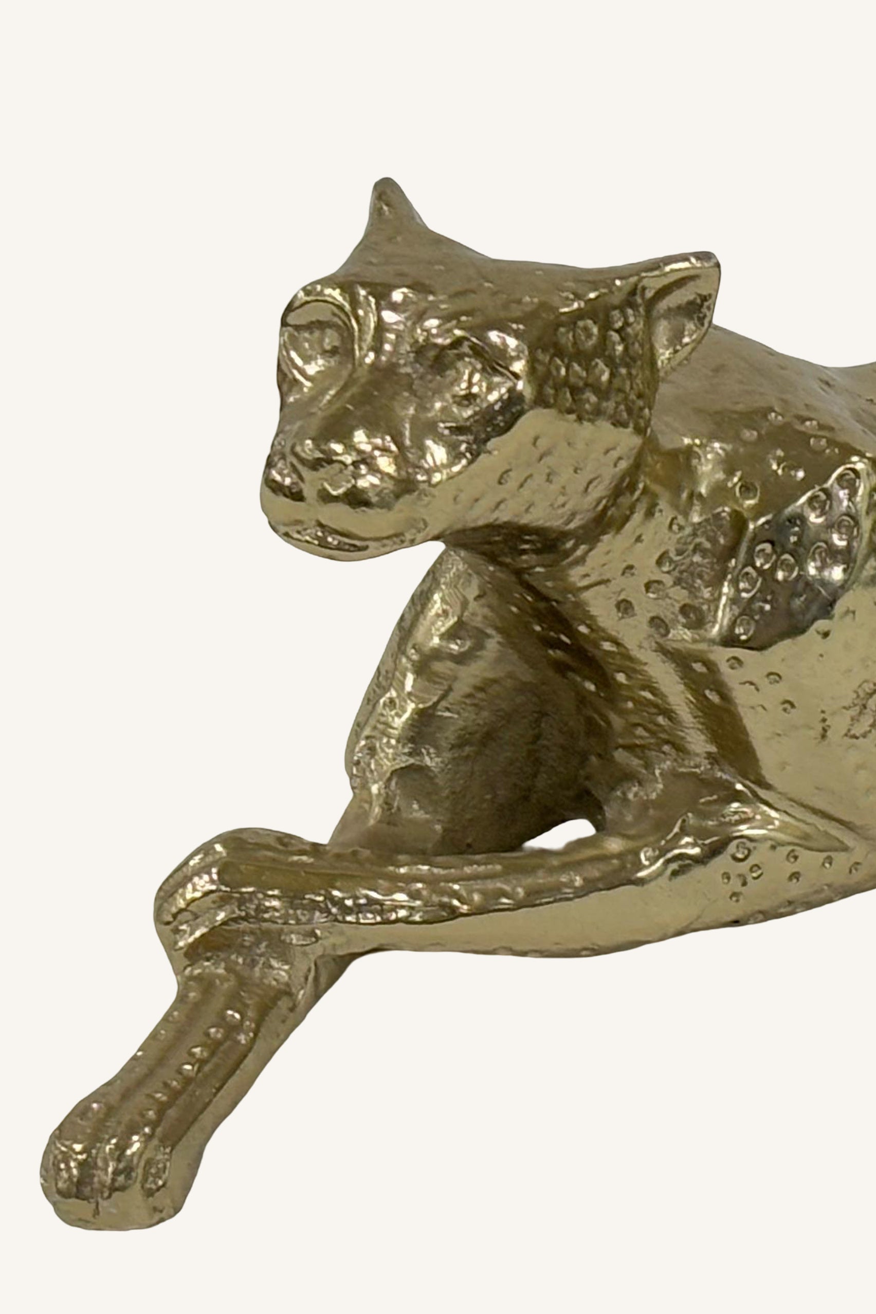 Desert Recline Panther