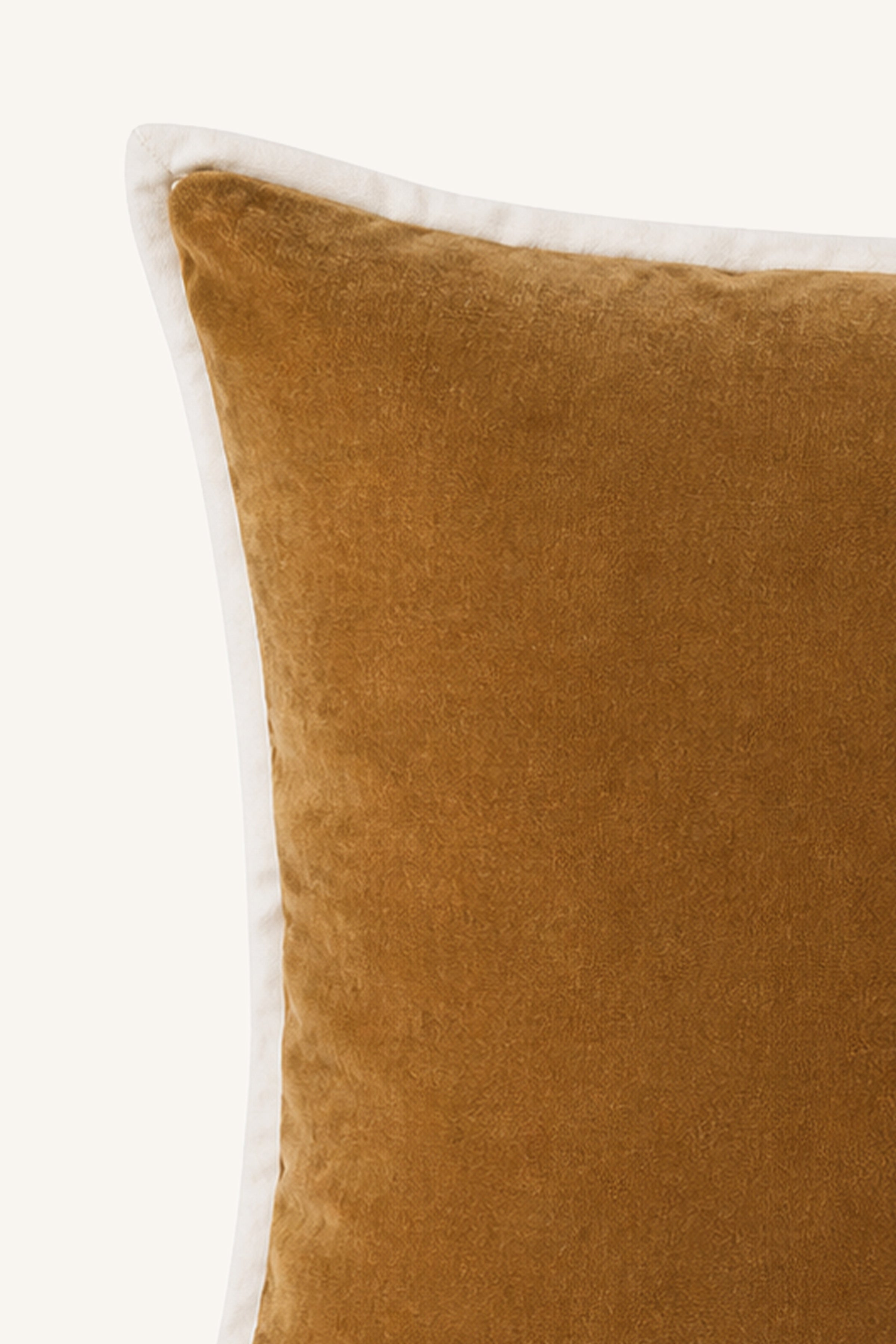 Burnished Border Pillow