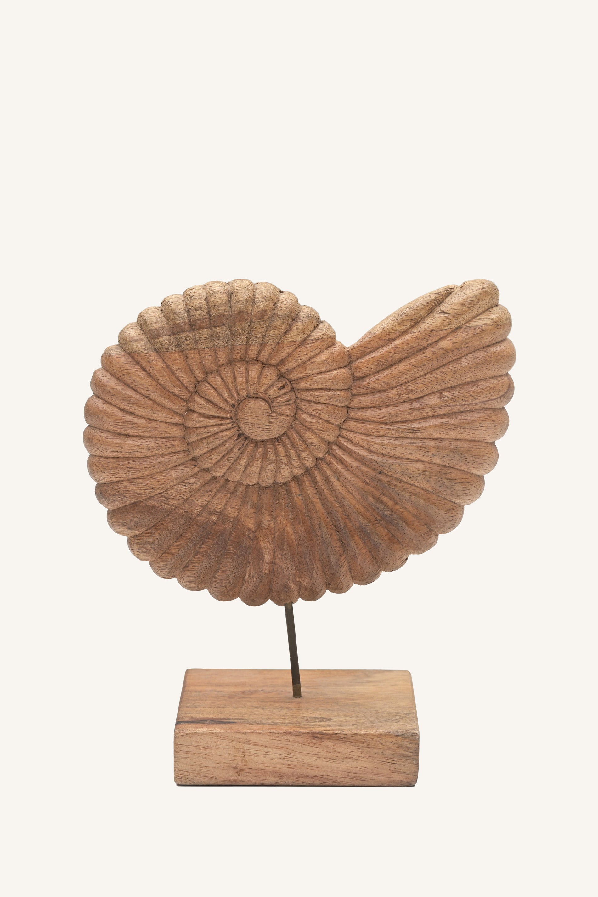 Tideform Ammonite Sculpture