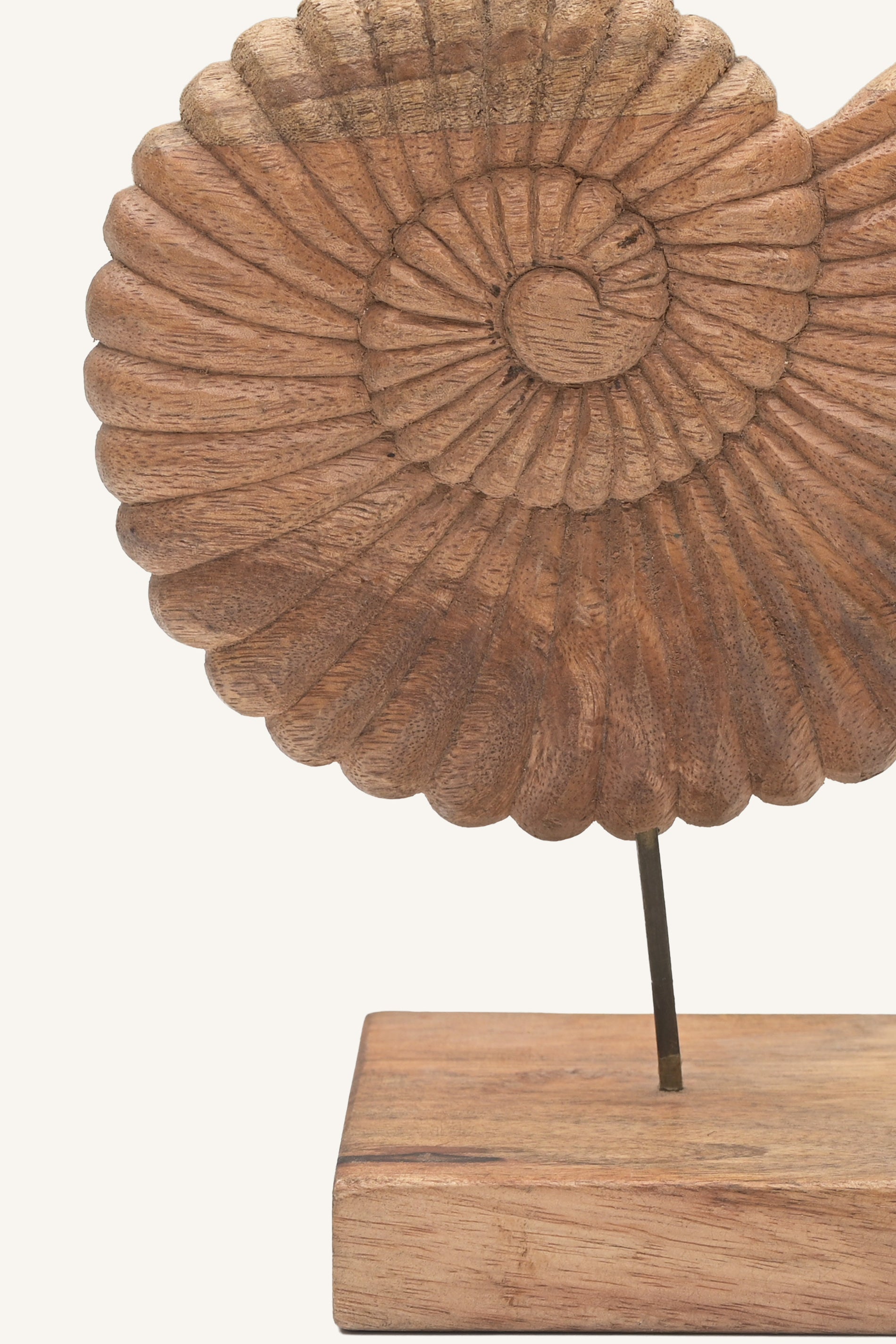 Tideform Ammonite Sculpture
