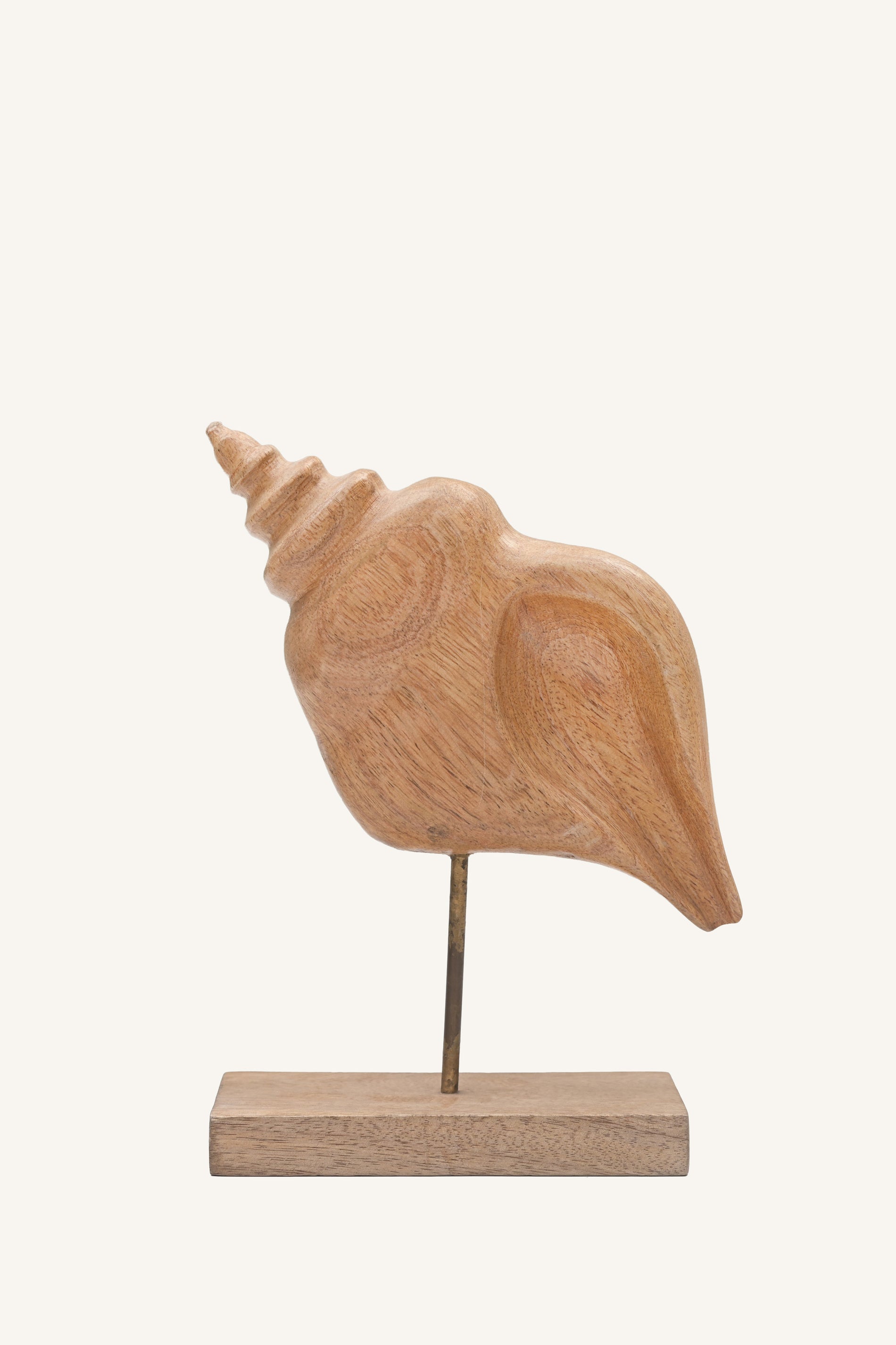 Coastwhorl Conch Sculpture