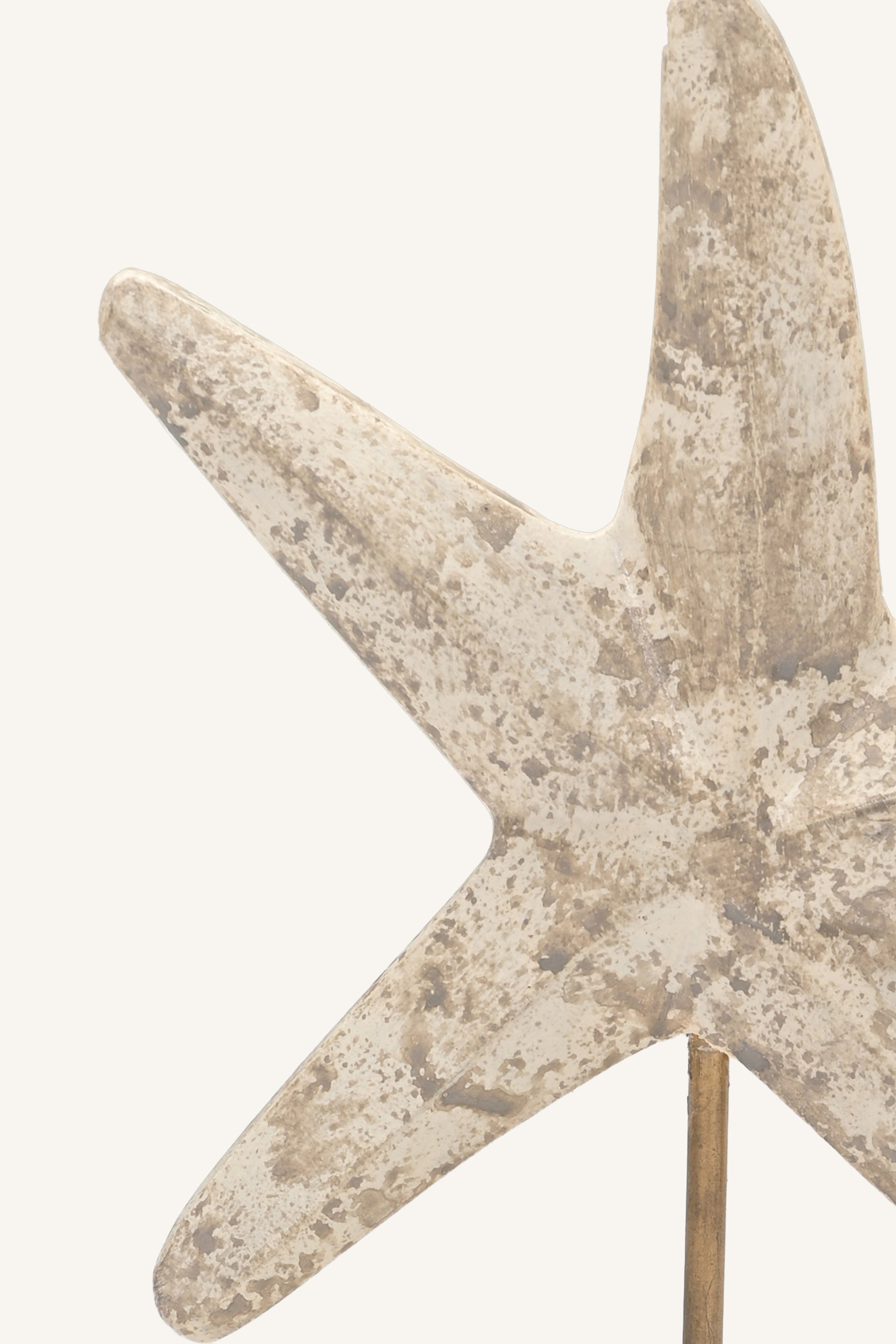 Driftstar Starfish Accent