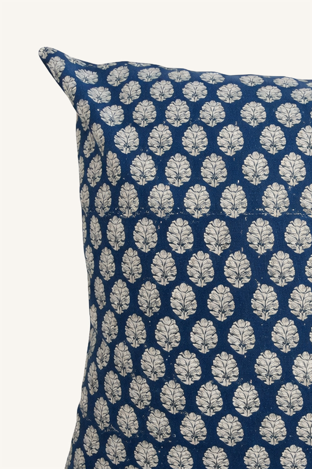 Lekhak Pillow