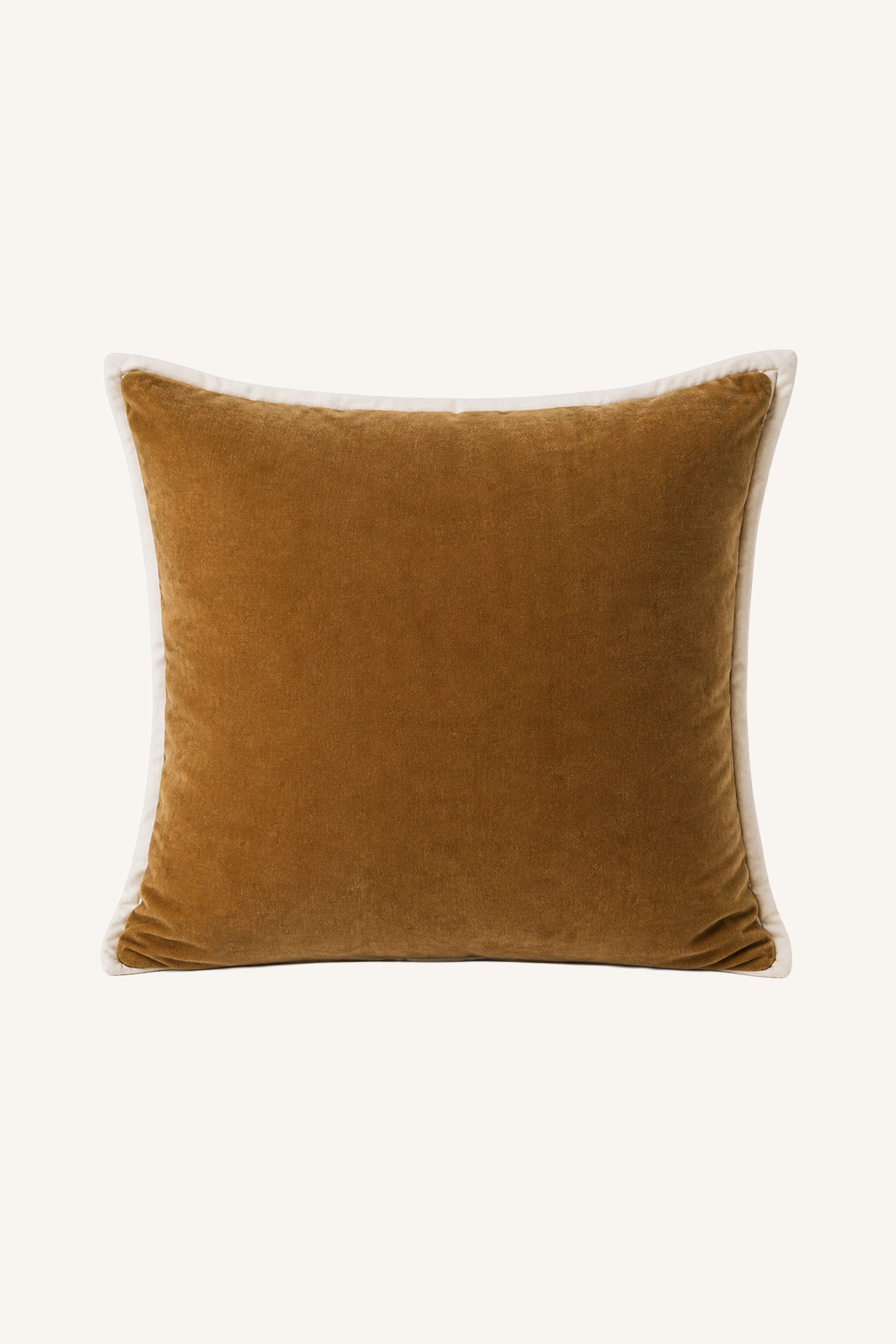 Burnished Border Pillow