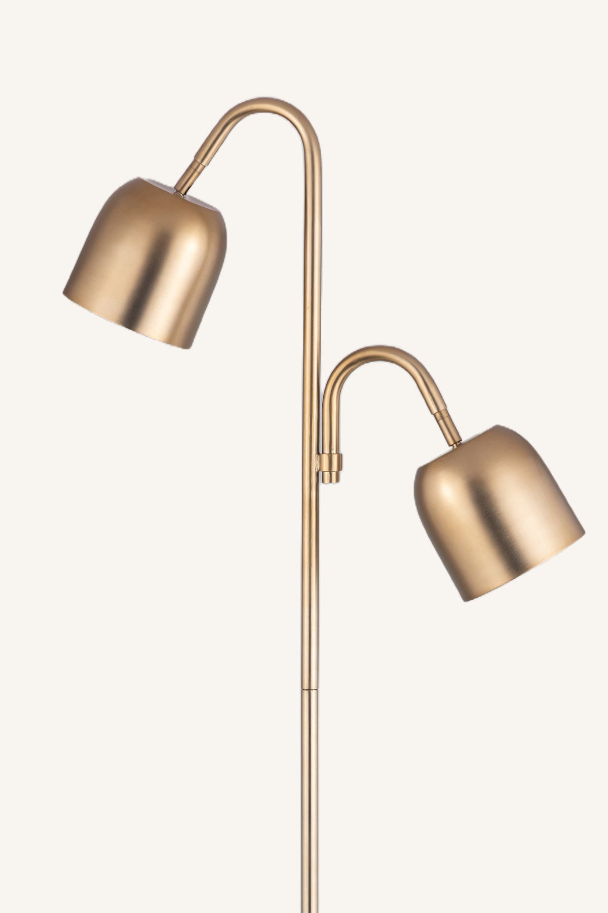 Liora Branch Lamp