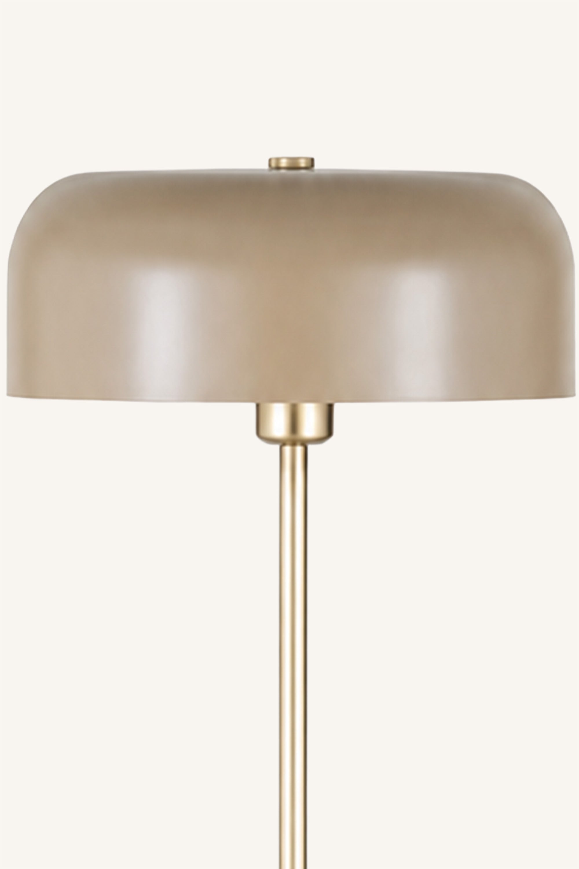 Solenne Floor Lamp